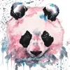 jazzmynpanda56