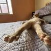 alan_smith070