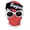 ghetto.spider