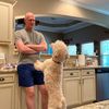 tall_hoosier