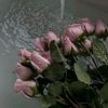alaa_al_20
