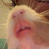 eeemilyb