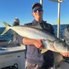 dt_fishing