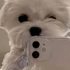 marydopiquerez_