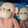 trimonkey197372