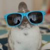 that_bunny.girl