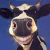 moo_mo000o