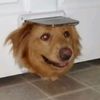 random_dude_24_7