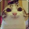 kittylovers490