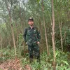id1191999