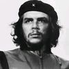 ranarashid7172