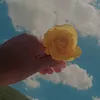 prwsha92