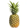normalananas