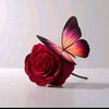 shahzil003