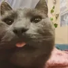 tvabikt3