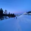sofiee2800