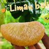Amin limau bali
