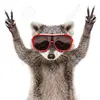 coolracoon2000