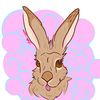 Silk Rabbit