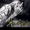 user6xing114sm