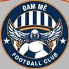 dammefootballclub