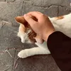 ab___2o