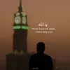 najii08