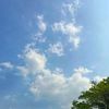 bahangabutmuu7_8