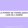 aladin_1110