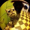 izzy2620070