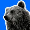 abearybear