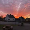 vasile_shahrour
