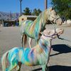 theunicornucopia
