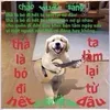 chinh10111998