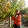 thaibaott