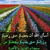 talibiali64