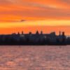 virk_0121
