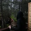 wisnia.horses
