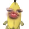 dani8_088