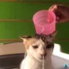 tuyen_zanh