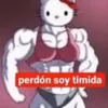 sofimansourr