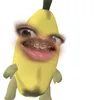 r.rcyne