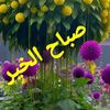 user597667834160274