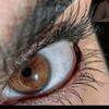 userqg1cka6t6m