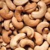 thecashewnut