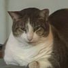 bennyboy0415
