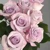 lilialilia989