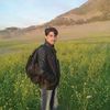 amirwali5