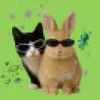 kii_oog