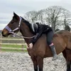 cgmegsx